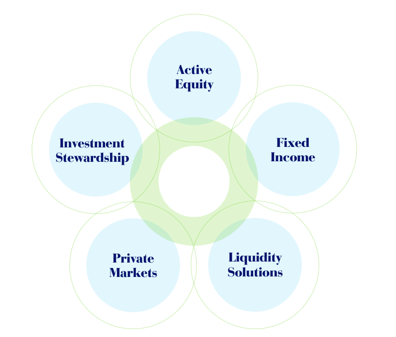 Graph showing financial growth